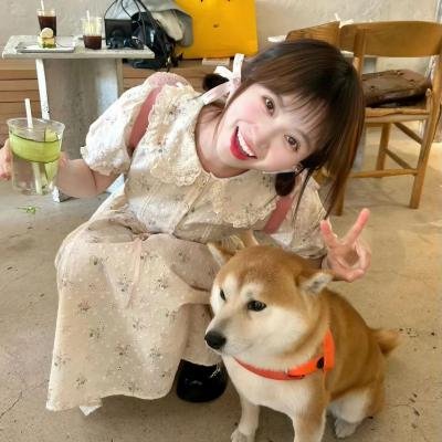 租借女友第四季
